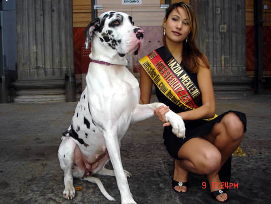 Deutsche Dogge Gina mit Angelina