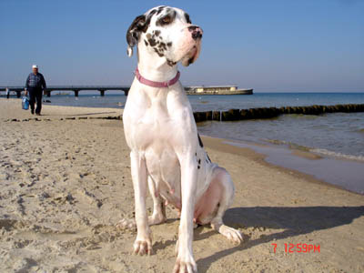 Gina in Kolberg - Polen